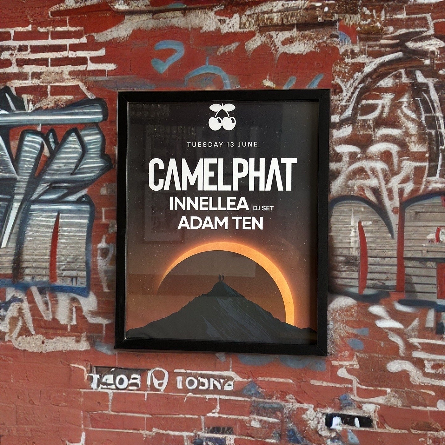 Camelphat ~ Genuine Pacha Ibiza Framed Dj Artwork | A3 Luxury Black Frame