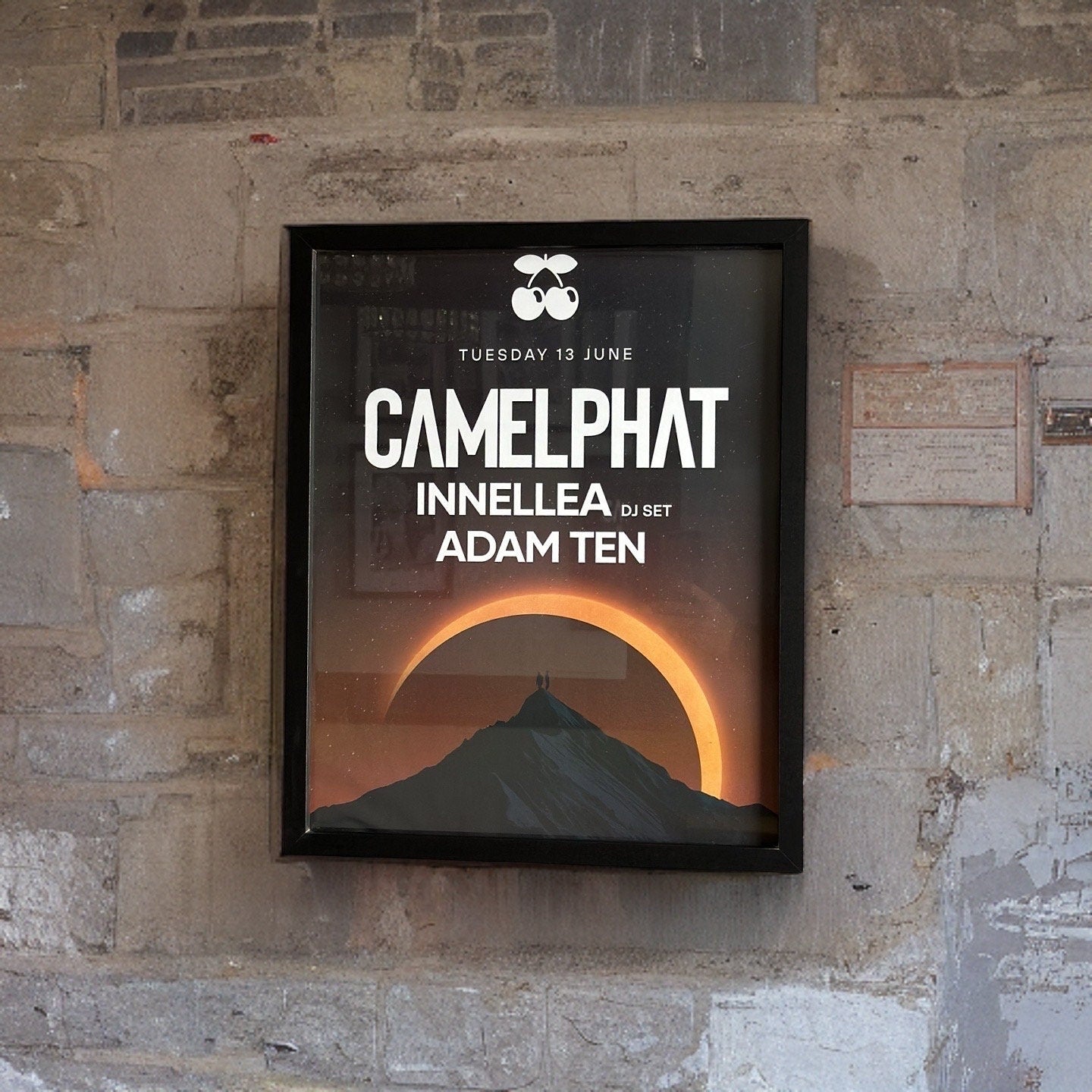 Camelphat ~ Genuine Pacha Ibiza Framed Dj Artwork | A3 Luxury Black Frame