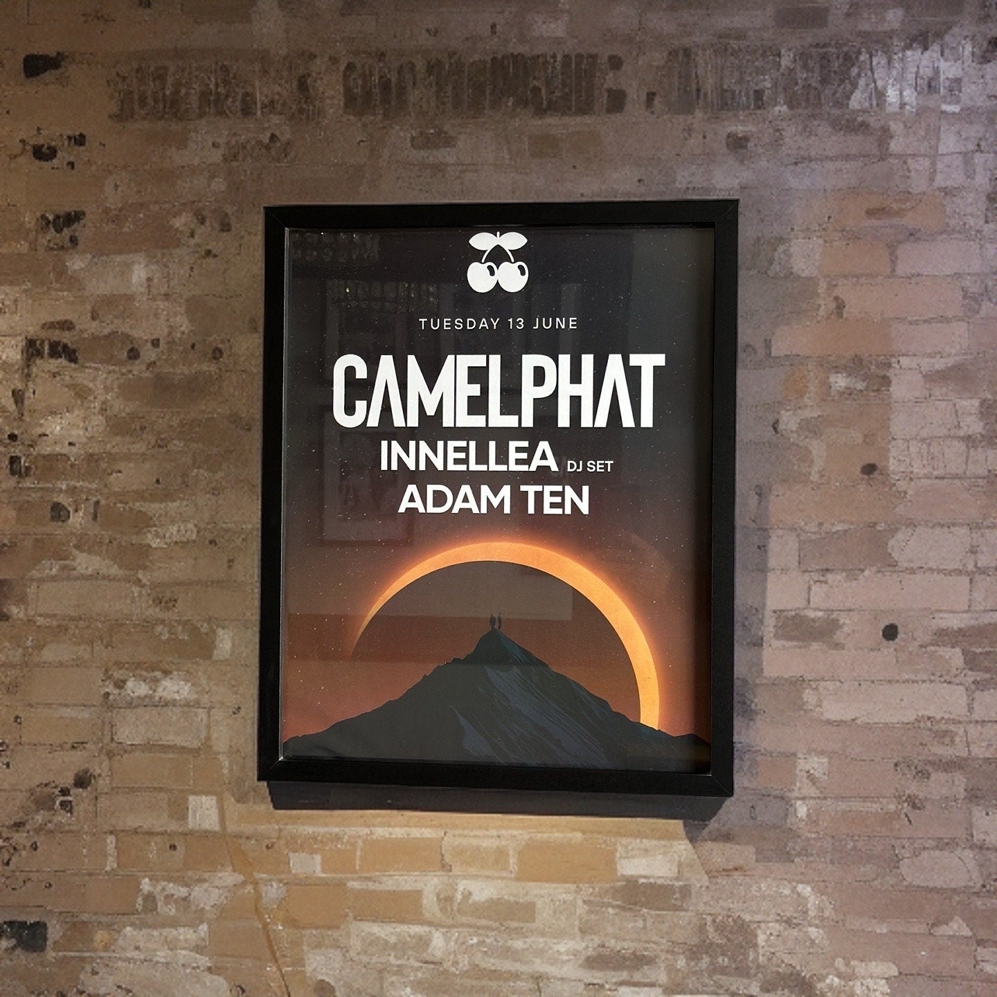 Camelphat ~ Genuine Pacha Ibiza Framed Dj Artwork | A3 Luxury Black Frame