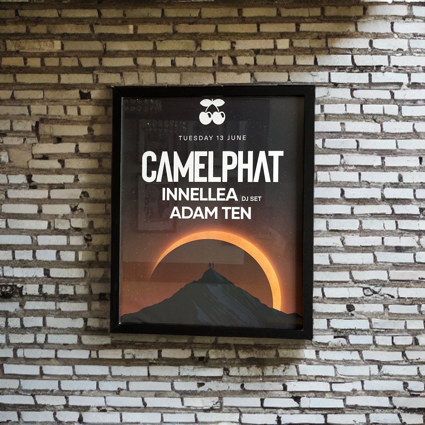 Camelphat ~ Genuine Pacha Ibiza Framed Dj Artwork | A3 Luxury Black Frame