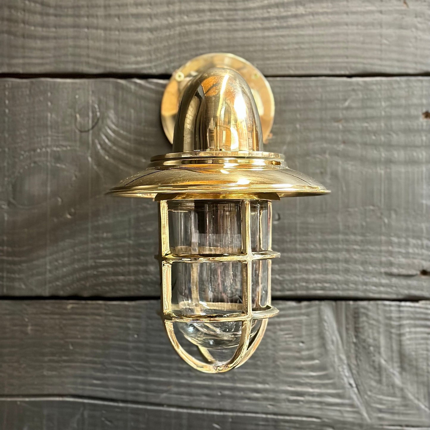 Wells ~ Solid Brass Caged Swan Neck Bulkhead Industrial Wall Light | Bathroom | Outdoor Garden