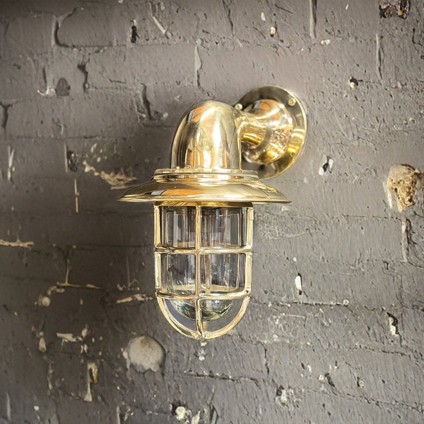 Wells ~ Solid Brass Caged Swan Neck Bulkhead Industrial Wall Light | Bathroom | Outdoor Garden