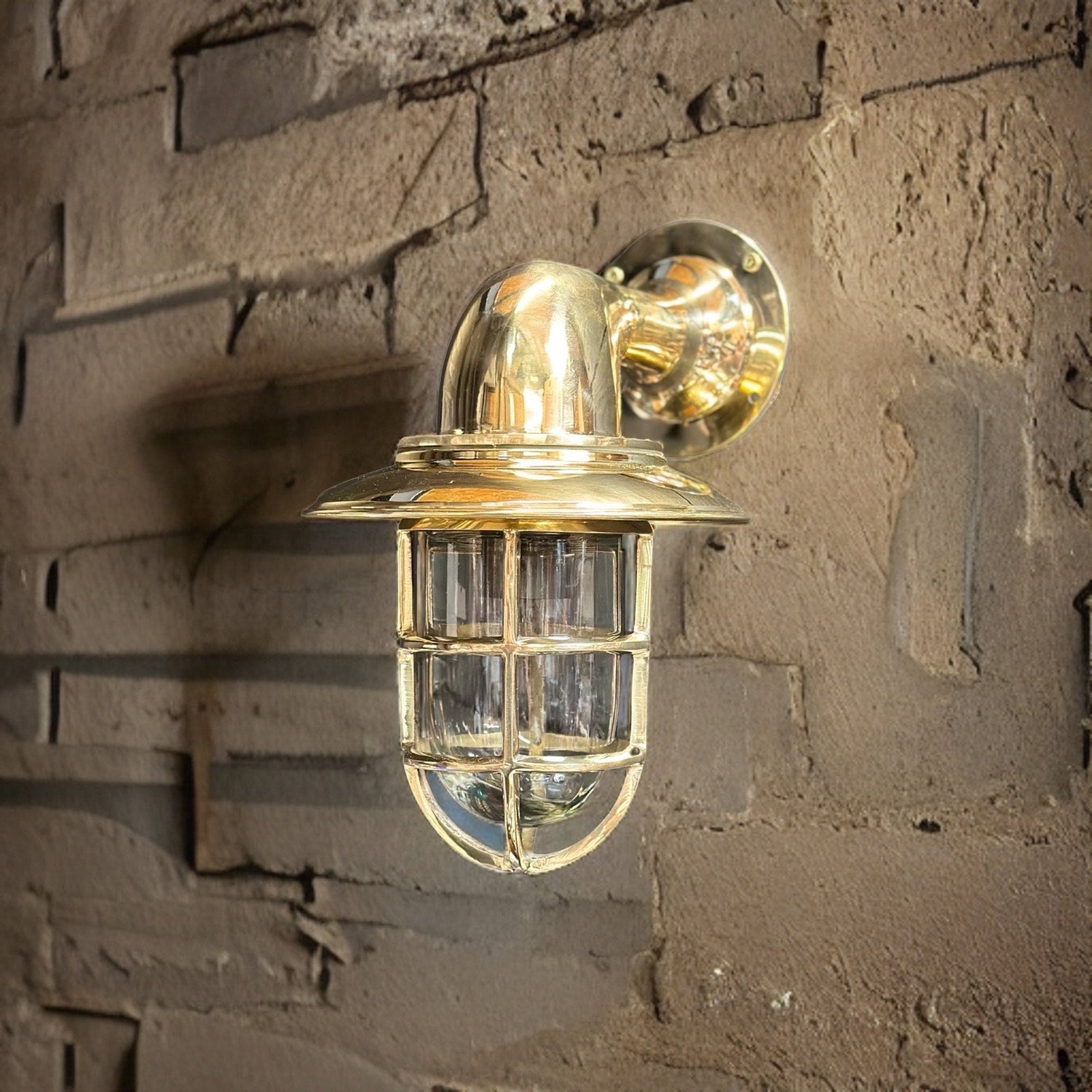 Wells ~ Solid Brass Caged Swan Neck Bulkhead Industrial Wall Light | Bathroom | Outdoor Garden